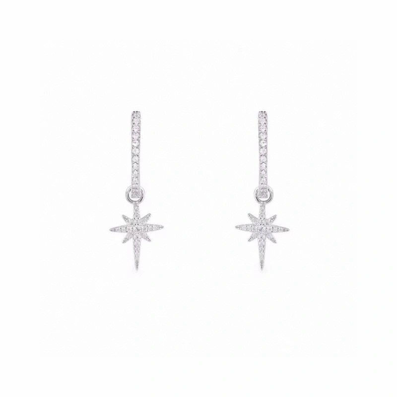 Apm Earrings Supportive 214922