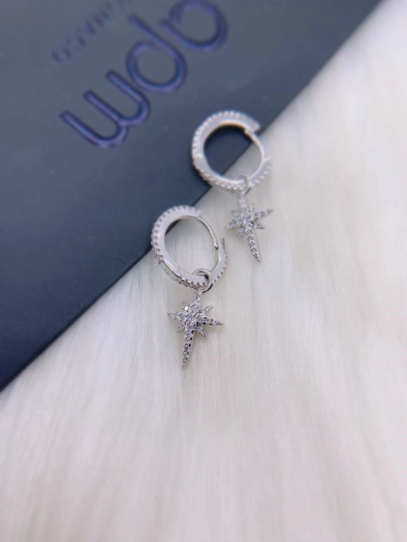 Apm Earrings Supportive 214922