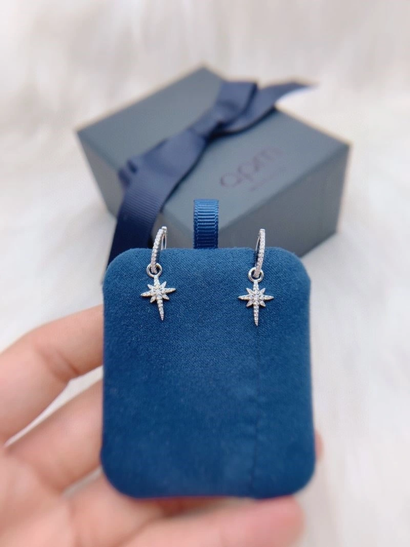 Apm Earrings Supportive 214922