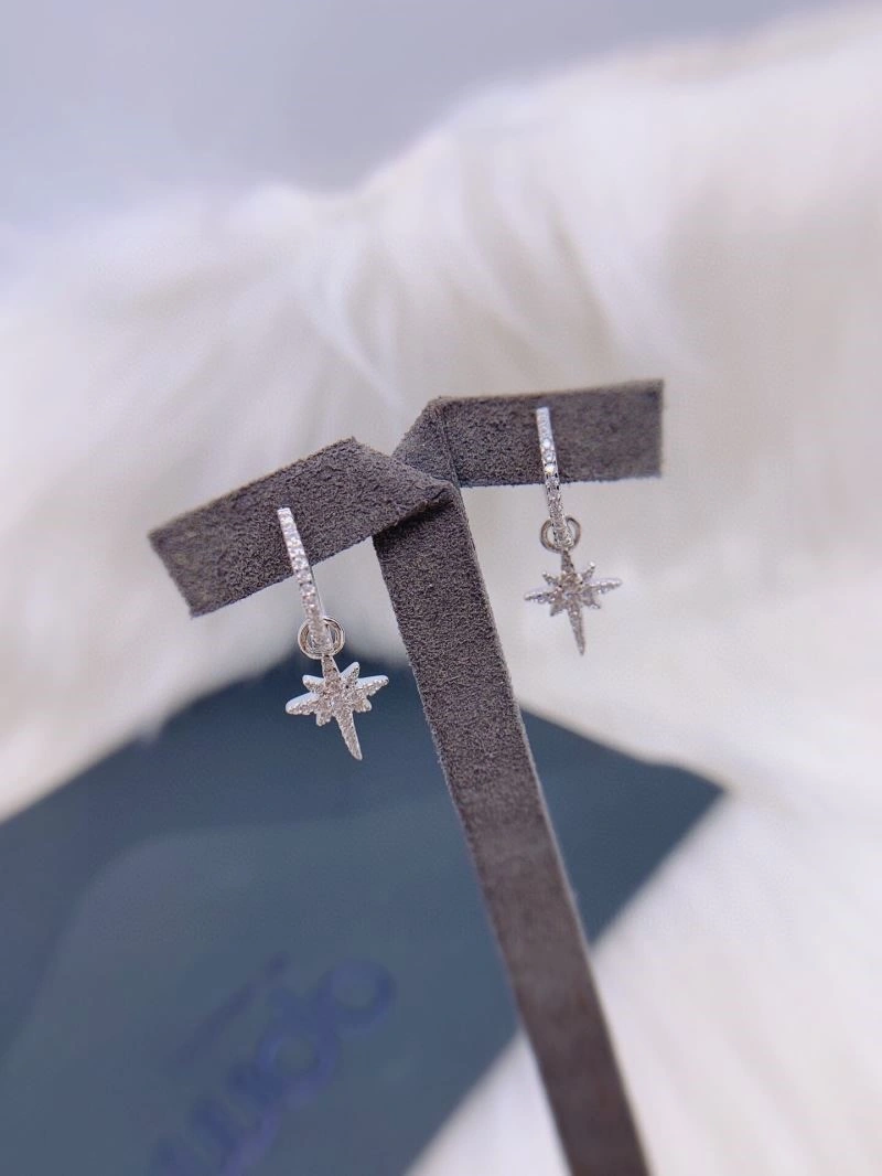 Apm Earrings Supportive 214922