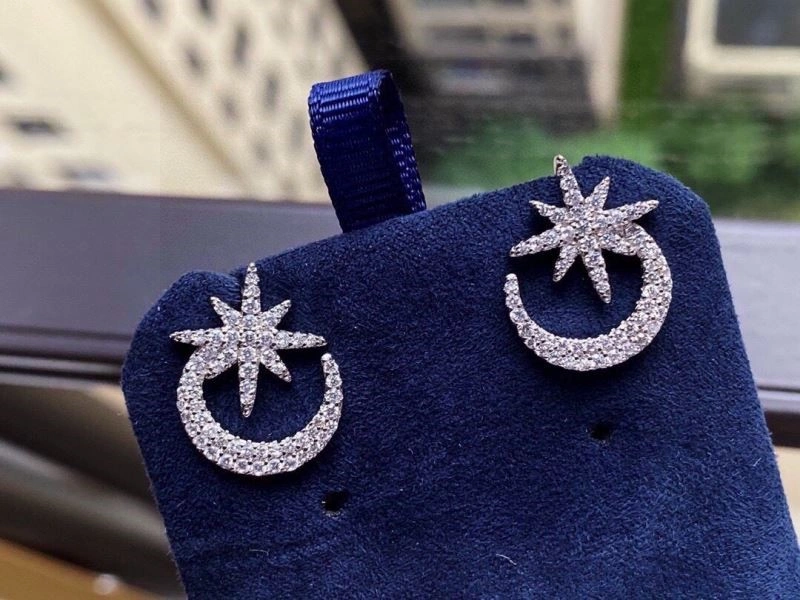 Youthful Apm Earrings 214894