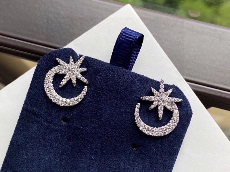 Youthful Apm Earrings 214894