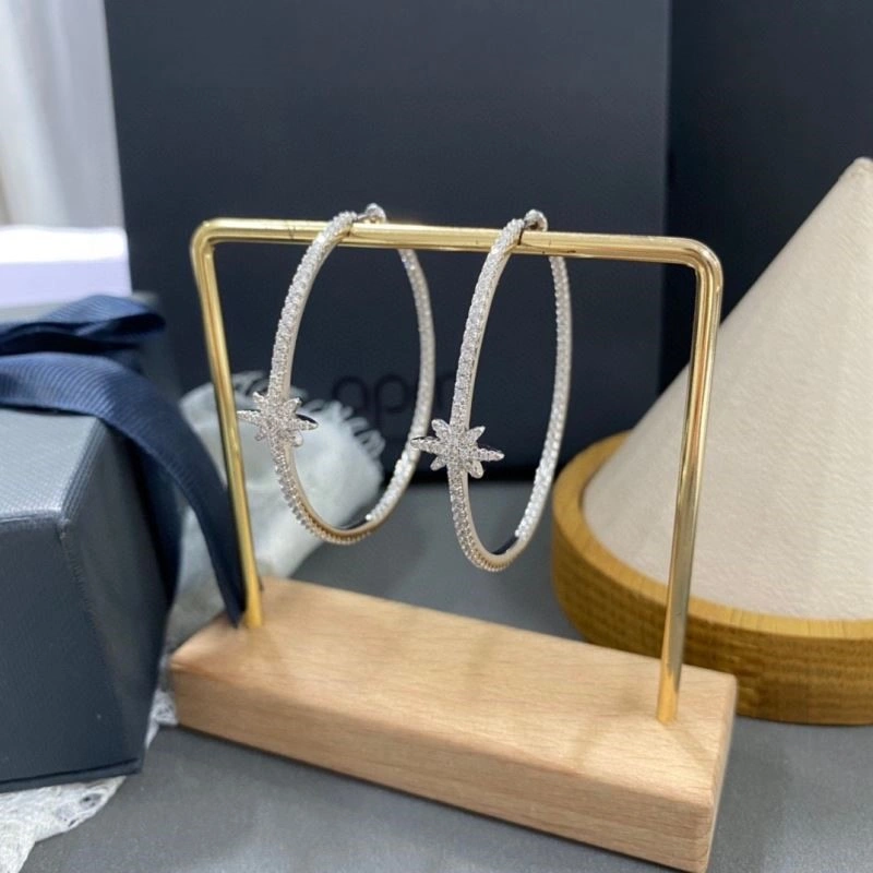 Stylish Apm Earrings 214878