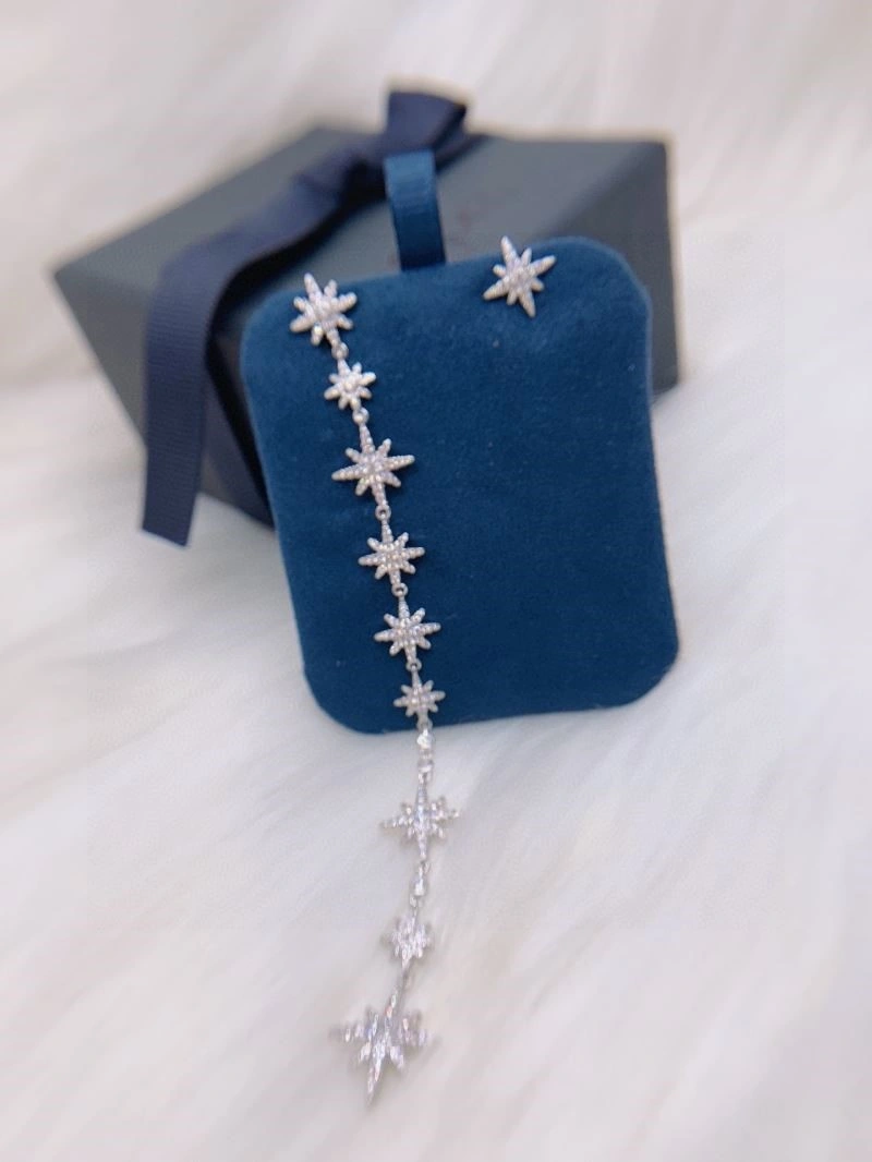 Apm Earrings Unisex 214807