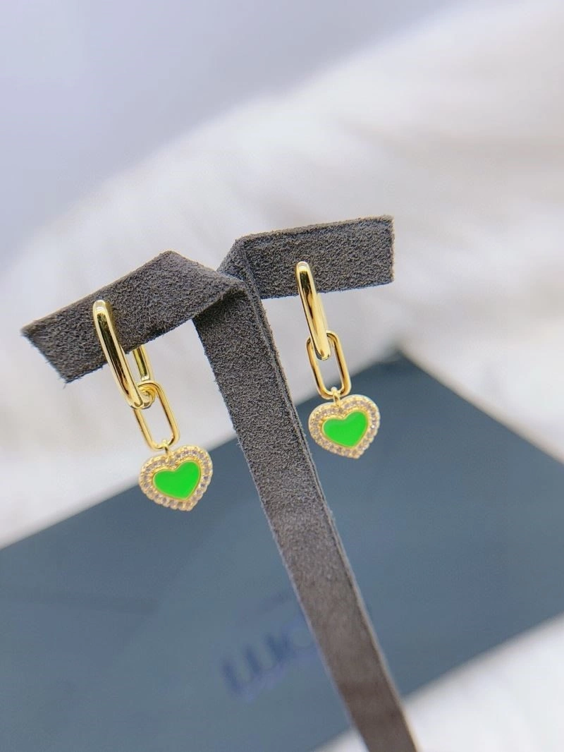 Functional Apm Earrings 214804