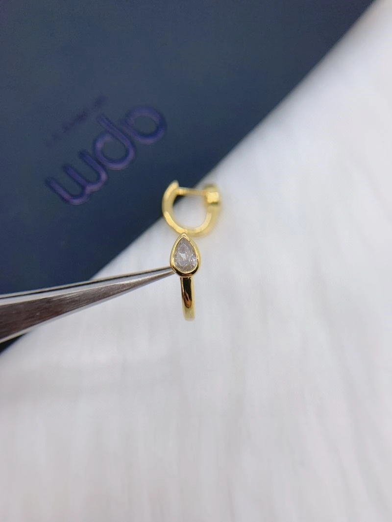ZipUp Apm Earrings 214801