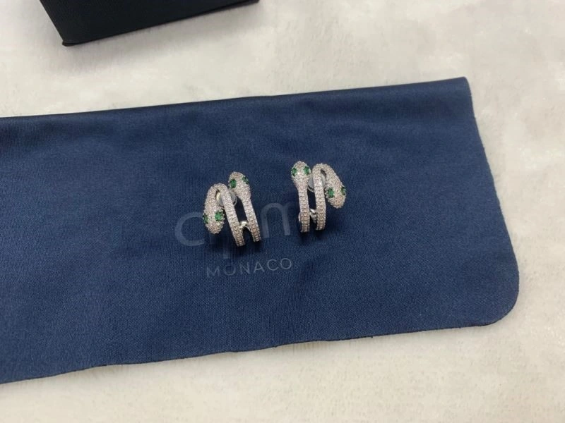 Apm Earrings Vibrant 214794