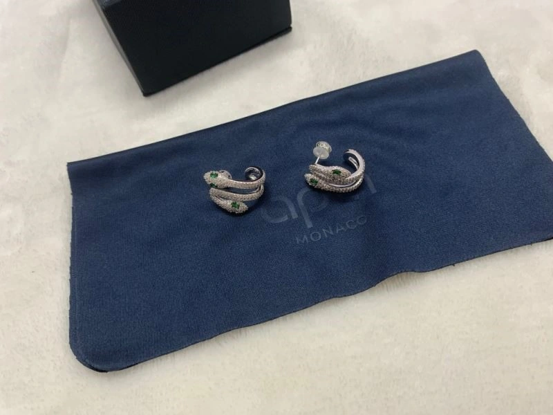 Apm Earrings Vibrant 214794
