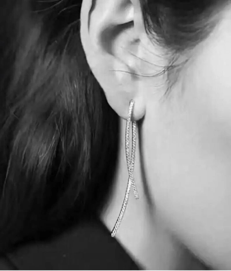 TravelReady Apm Earrings 214814