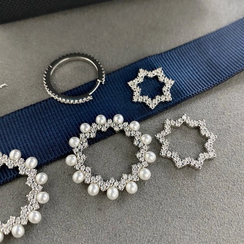Packable Apm Earrings 214785