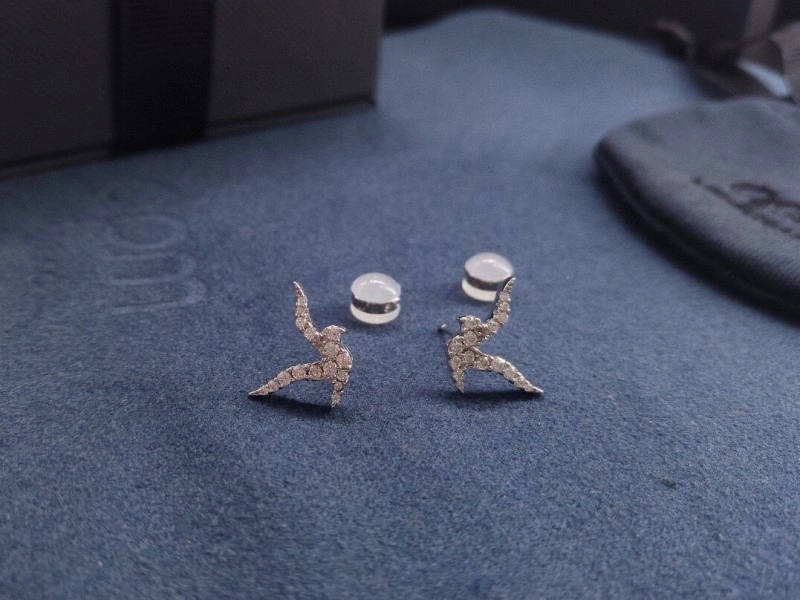 Apm Earrings WrinkleFree 214778