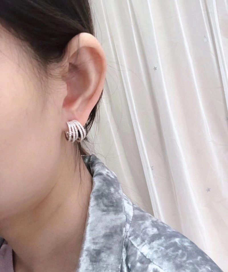 Apm Earrings Durable 214791