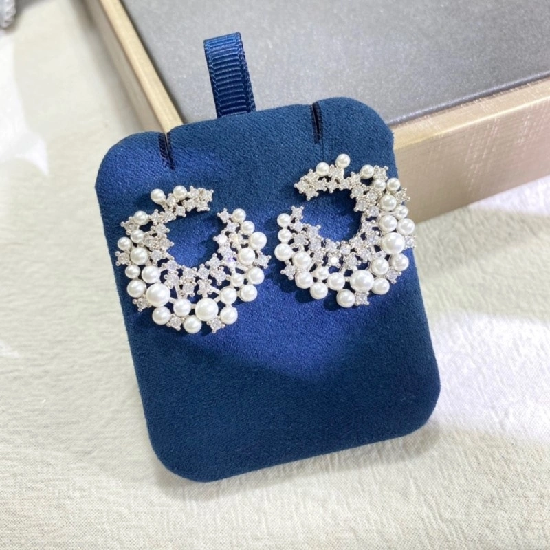 Efficient Apm Earrings 214713