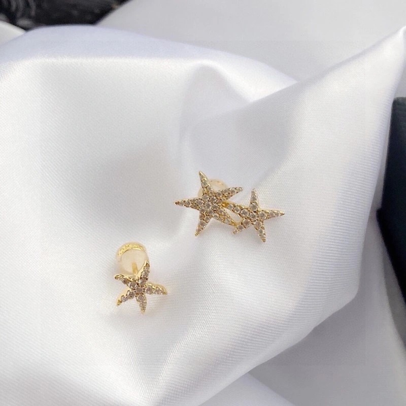 Apm Earrings TechFriendly 214715