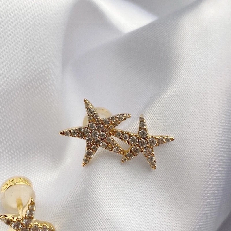 Apm Earrings TechFriendly 214715