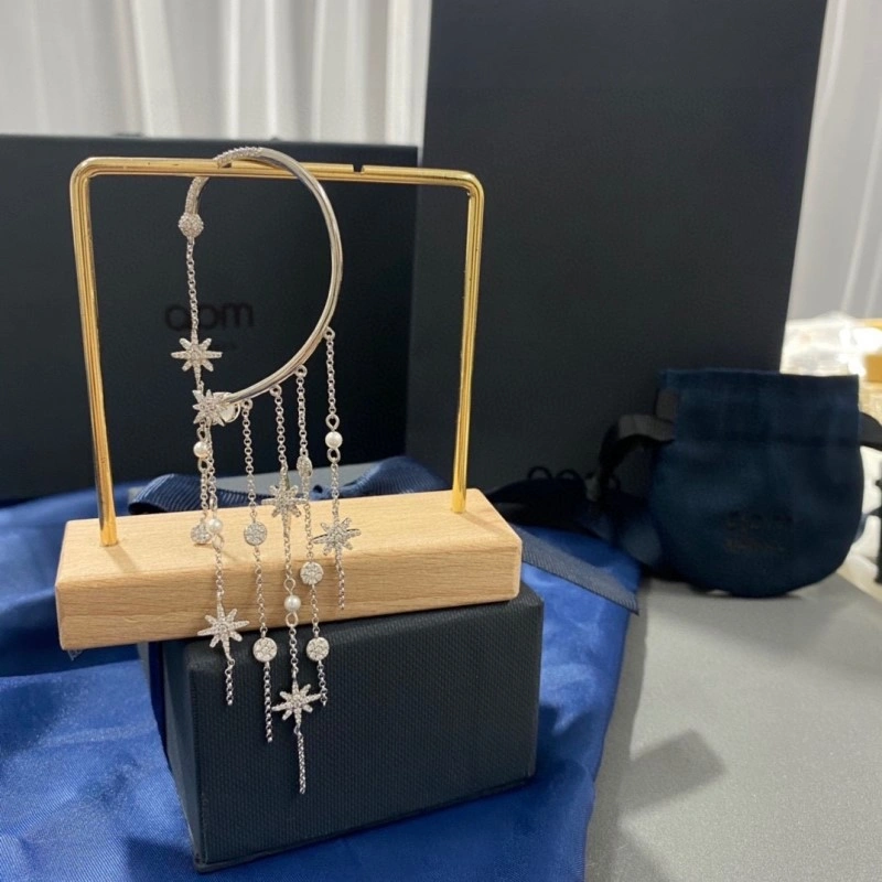 TravelReady Apm Earrings 214721