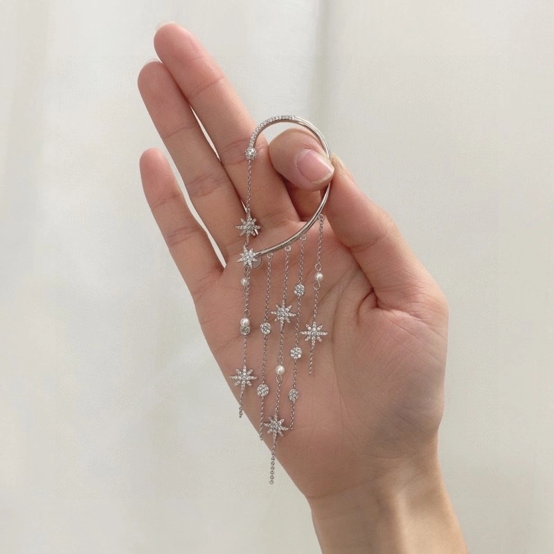 TravelReady Apm Earrings 214721