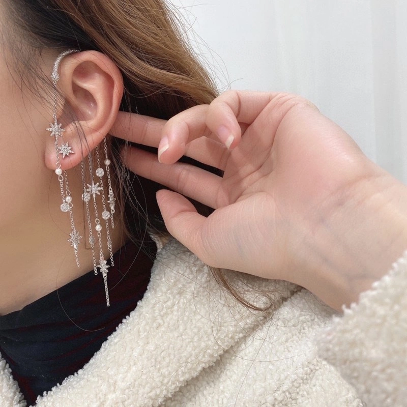 TravelReady Apm Earrings 214721