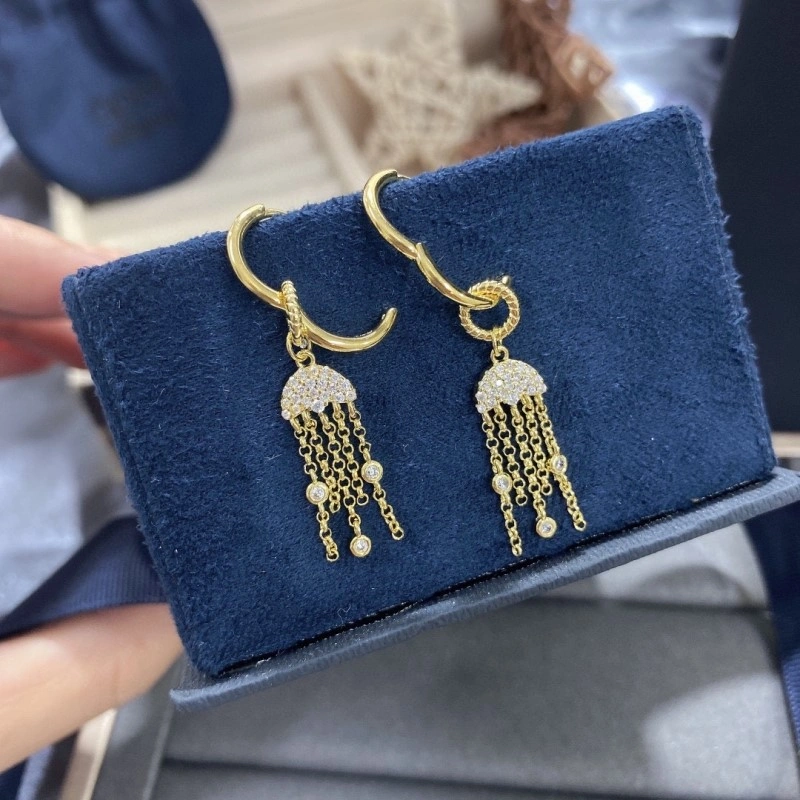 MultiPurpose Apm Earrings 214720