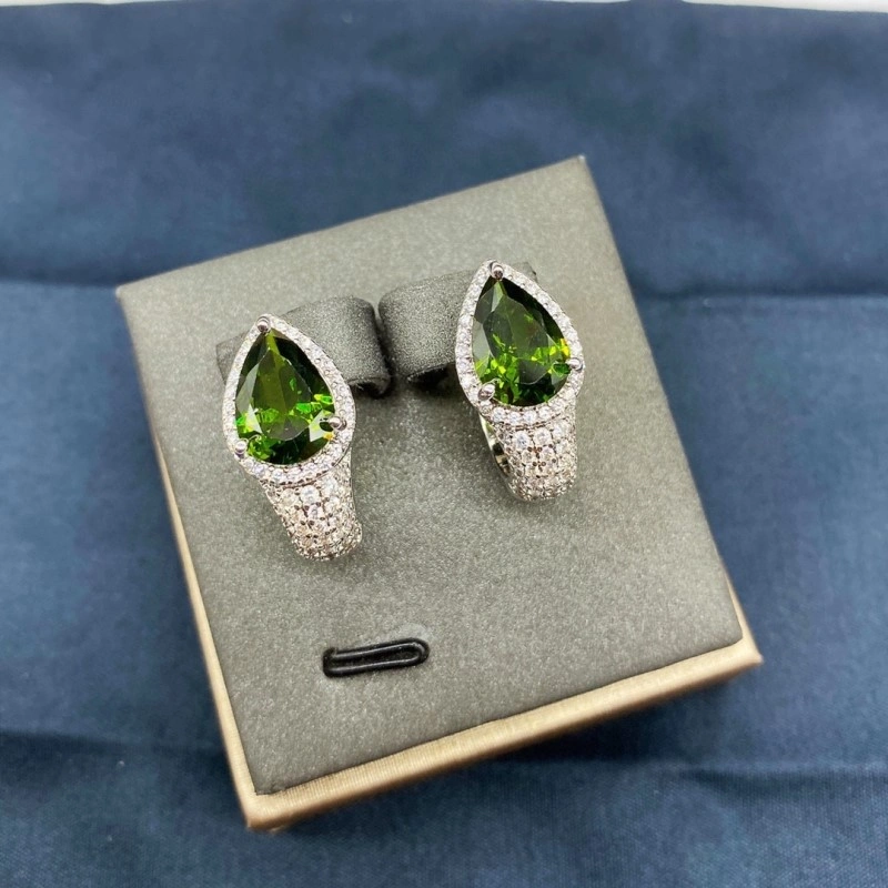 Apm Earrings Durable 214711