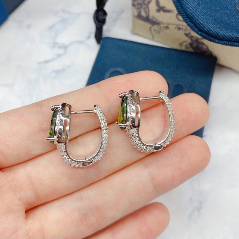Apm Earrings Durable 214711