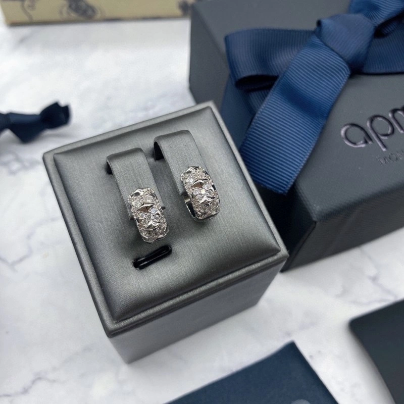 BestValue Apm Earrings 214708