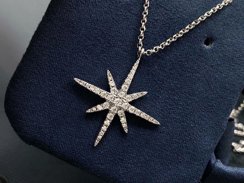 Flexible Apm Necklaces 214845