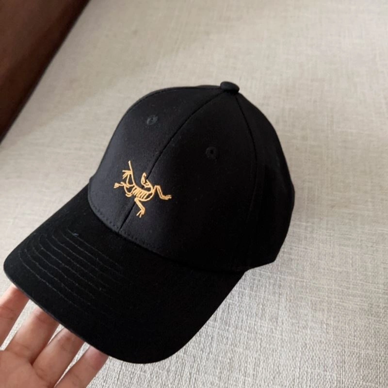 Arcteryx Caps Contemporary 262615