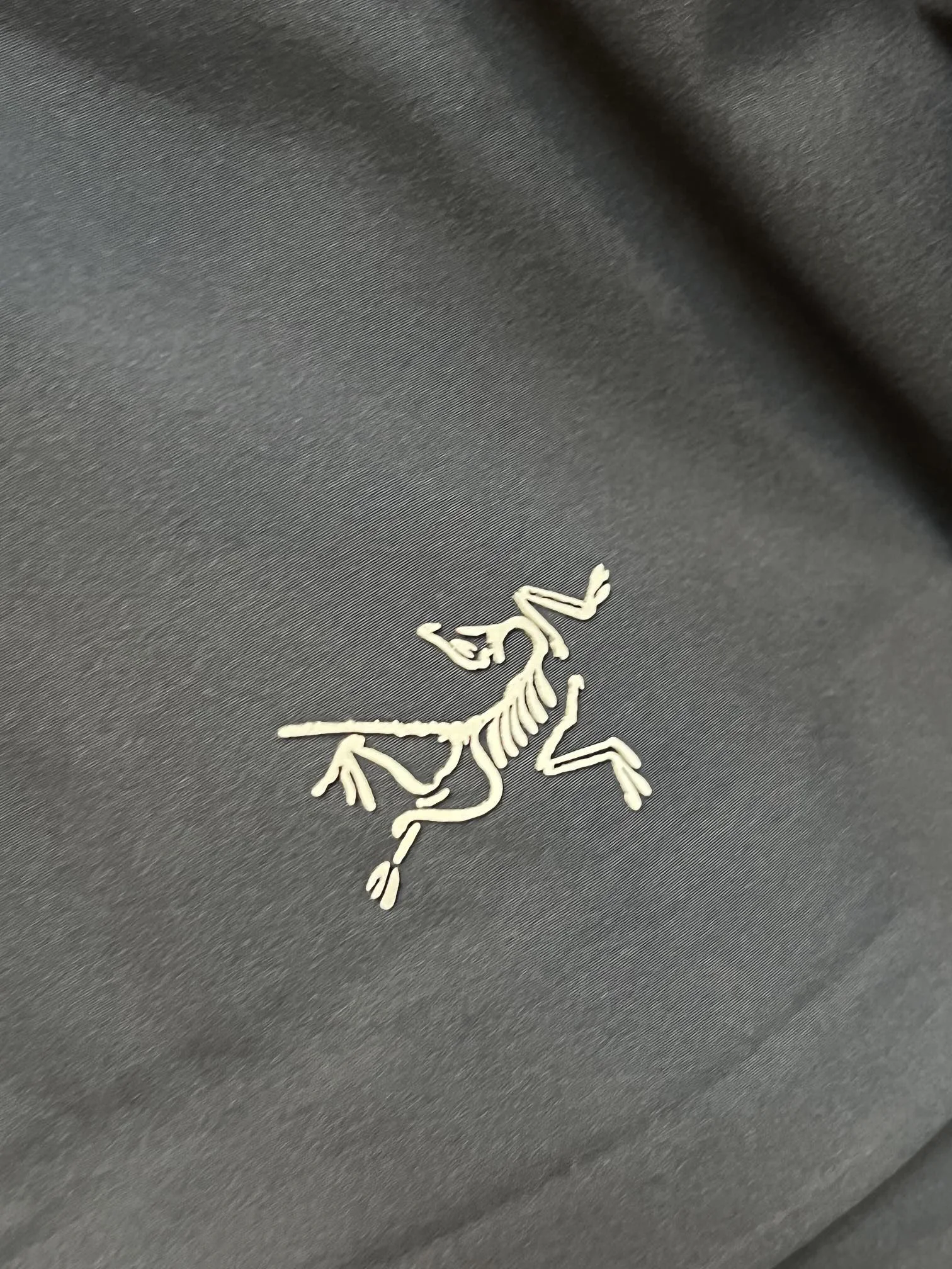 Arcteryx Down Jackets ZeroBulk 165098