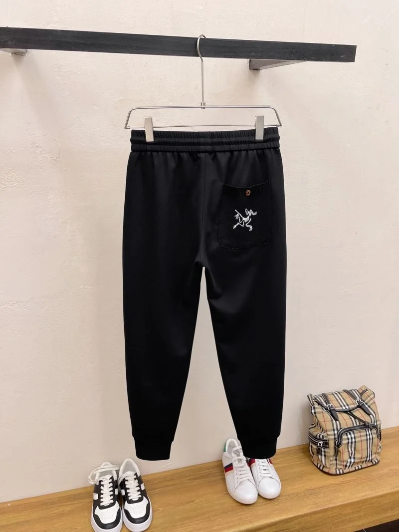 Timeless Arcteryx Long Pants 163358