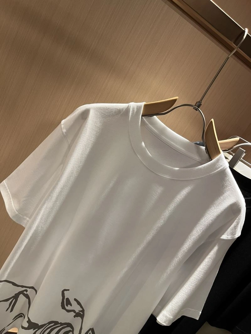 ComfortFit Arcteryx T-Shirts 162044