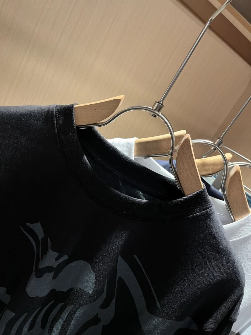 WrinkleFree Arcteryx T-Shirts 162040