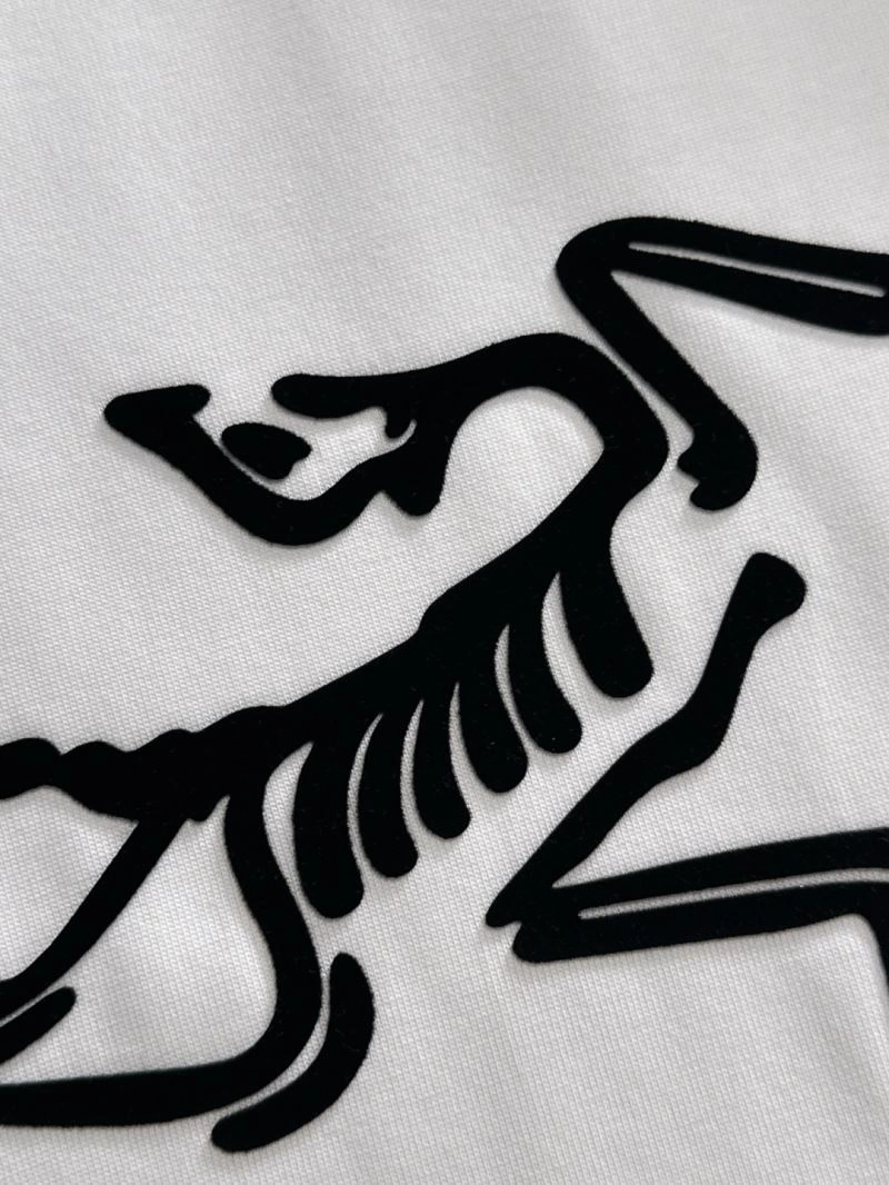 Popular Arcteryx T-Shirts 161088