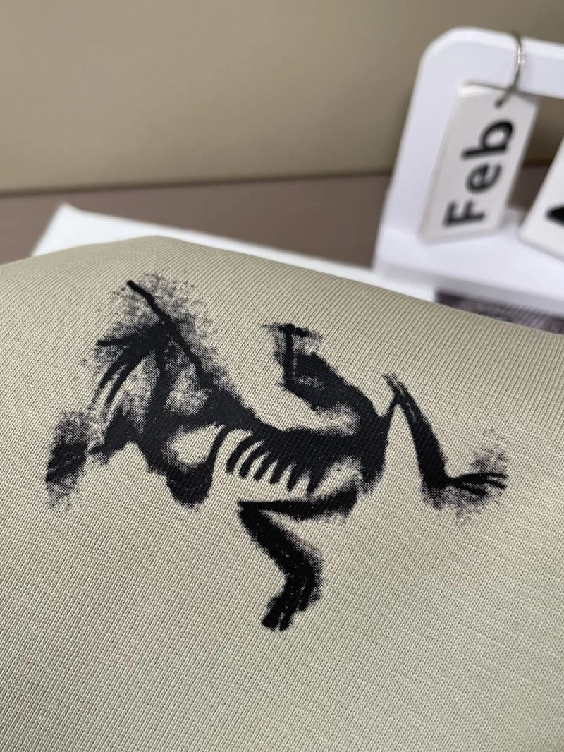 Cozy Arcteryx T-Shirts 161157