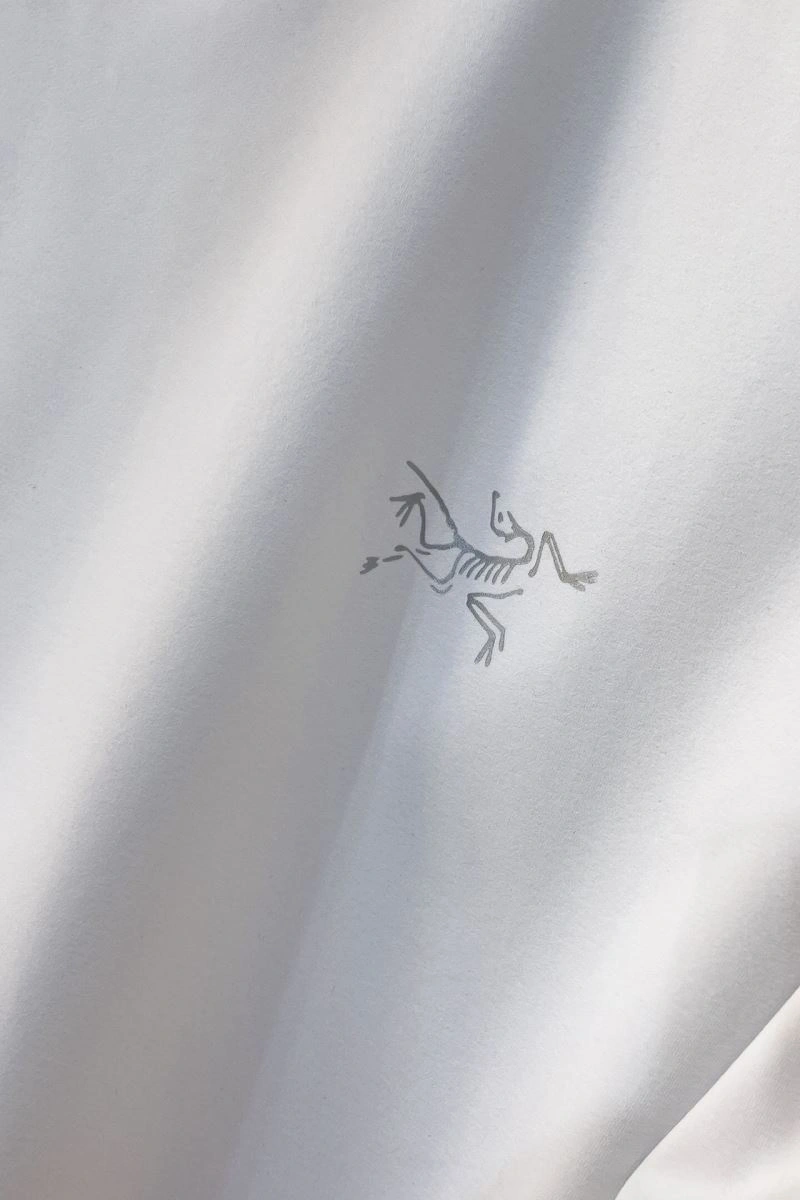 ComfortFit Arcteryx T-Shirts 161040