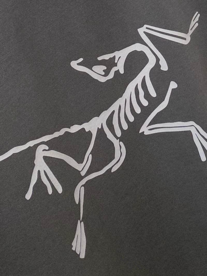 Arcteryx T-Shirts Sustainable 161064