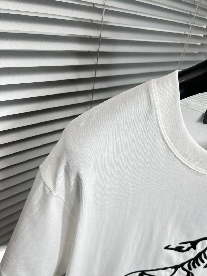 TopPick Arcteryx T-Shirts 161008