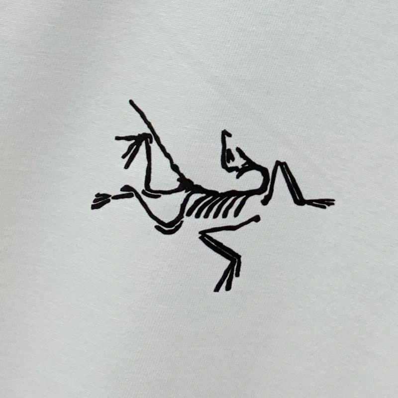 Efficient Arcteryx T-Shirts 161005