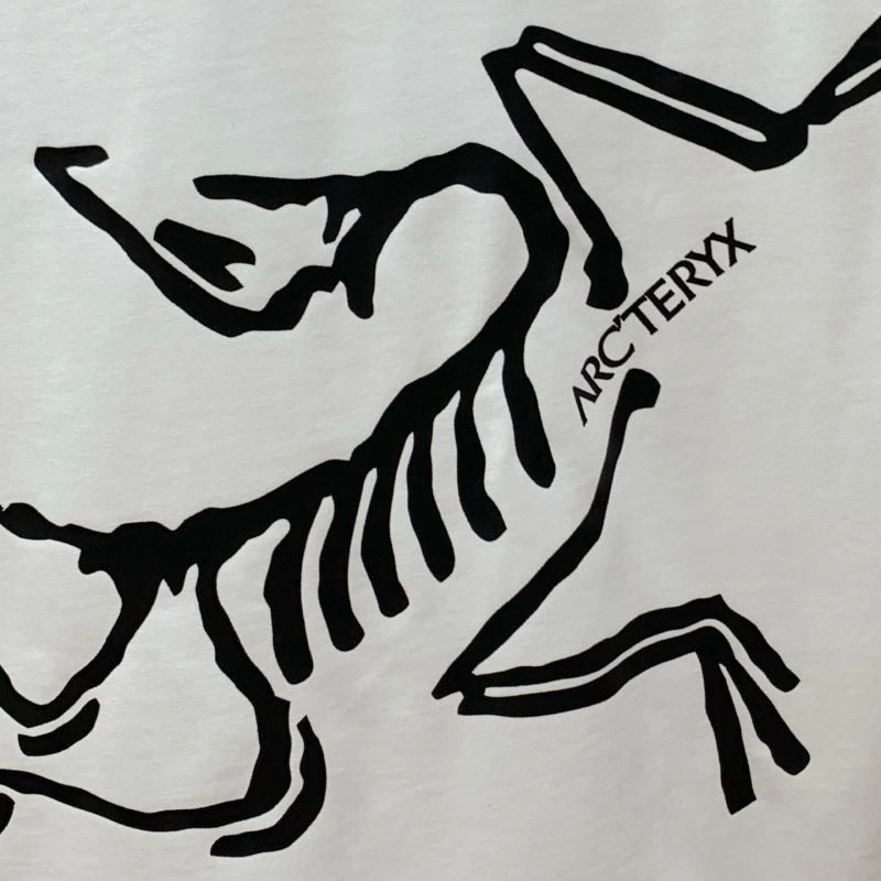 Efficient Arcteryx T-Shirts 161005