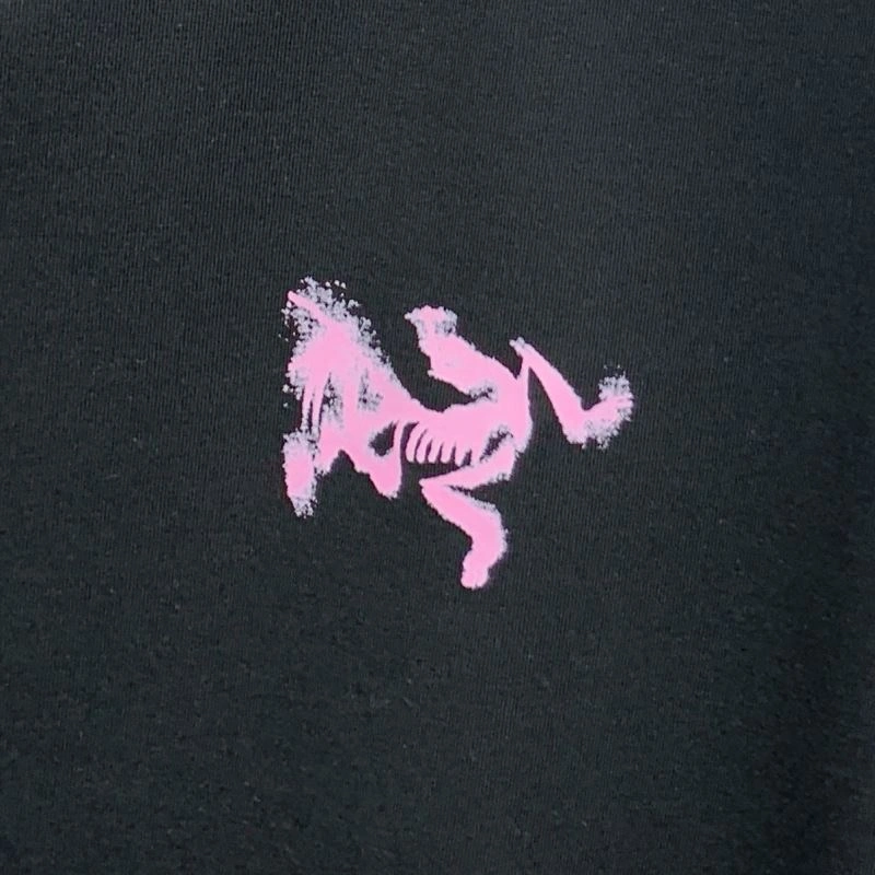 Arcteryx T-Shirts TechFriendly 161000