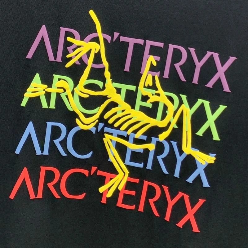 Elegant Arcteryx T-Shirts 160980