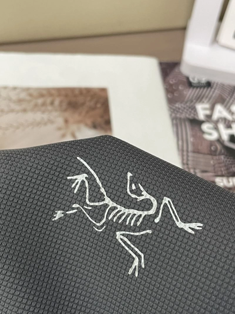 Seasonal Arcteryx T-Shirts 159784