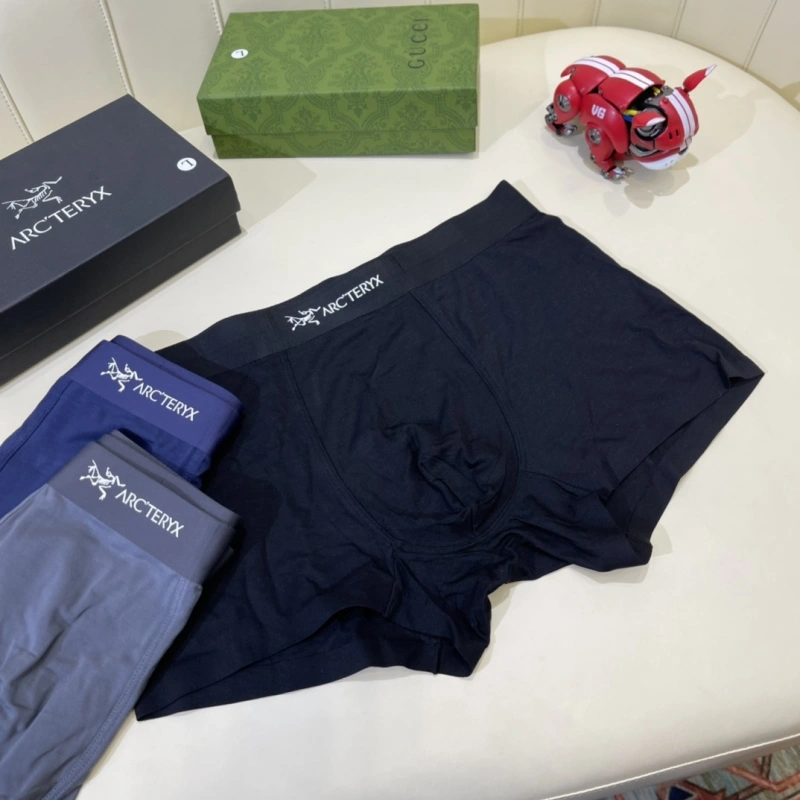 Arcteryx Underwear Colorful 276578