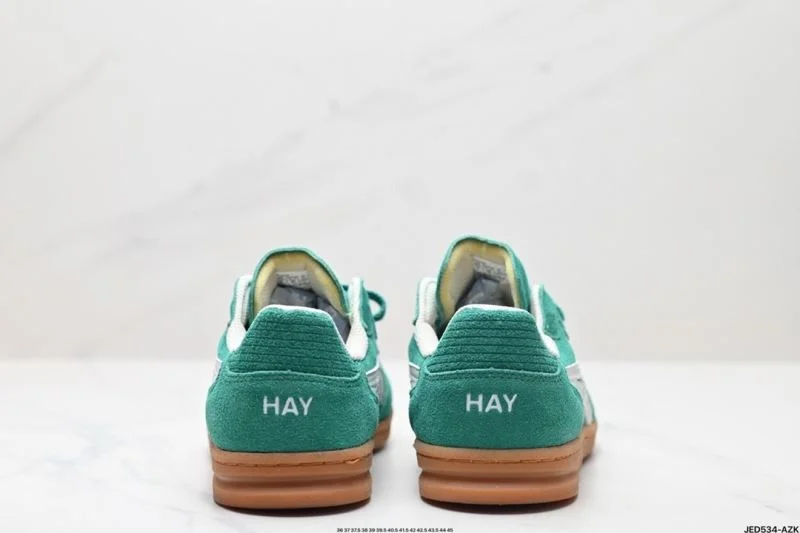 GoAnywhere Asics Shoes 3801