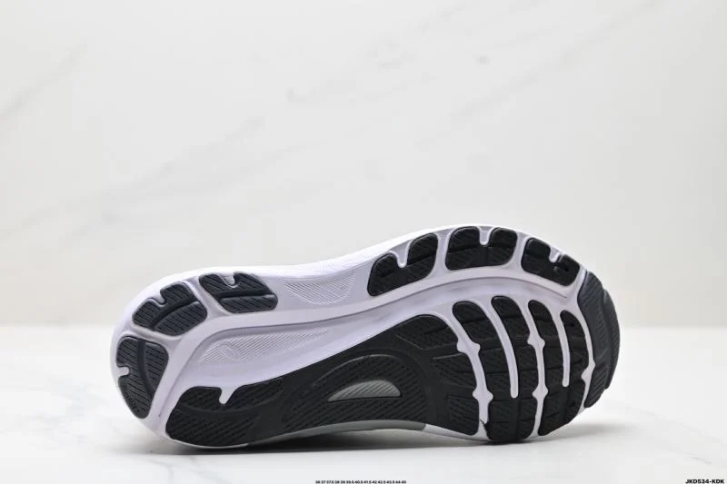 Chic Asics Shoes 3610