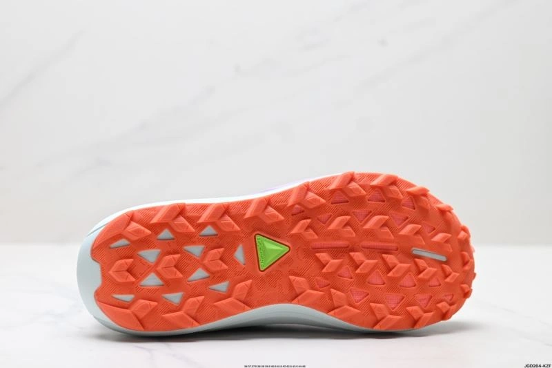 Snug Asics Shoes 2734