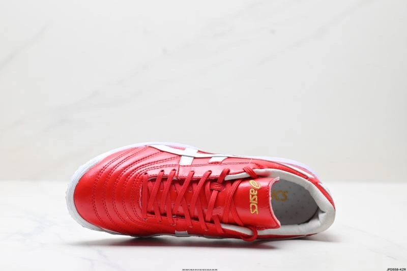 Asics Shoes Thermal 2702
