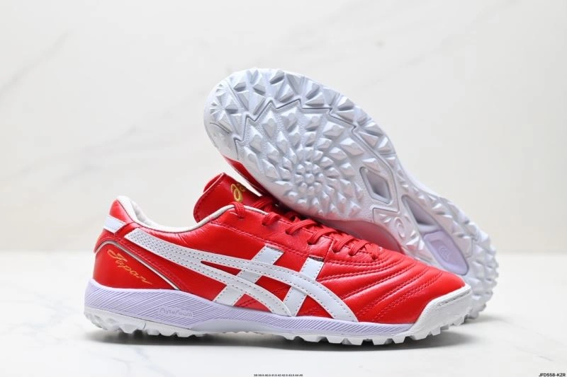 Asics Shoes Thermal 2702