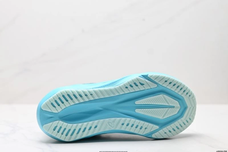 FastDry Asics Shoes 2610