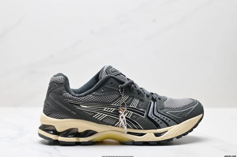 Elegant Asics Shoes 2551